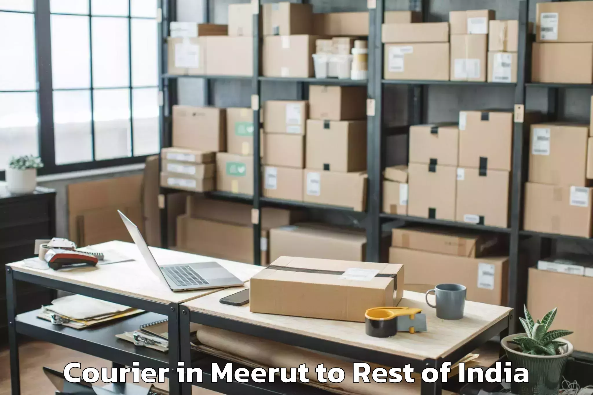 Leading Meerut to Daporijo Courier Provider